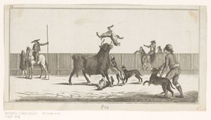 Taureau attaqué par des chiens - Anonymous