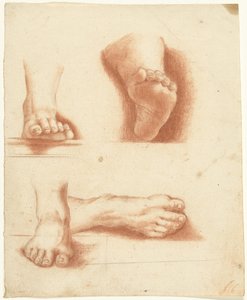 Étude de quatre pieds