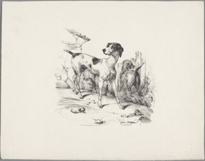Deux chiens près d