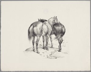 Deux chevaux vus de dos - Anonymous