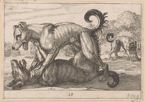 Deux chiens s