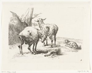 Deux chèvres debout et un chevreau (série Chèvres et moutons d