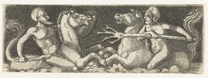 Deux tritons combattants