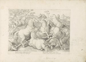 Chevaux combattants