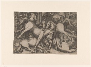 Chevaux combattants - Anonymous
