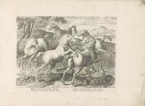 Chevaux combattants avec un cheval piétiné - Anonymous