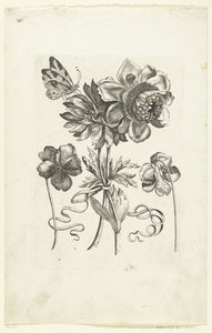 Quatre fleurs, dont deux violettes - Anonymous
