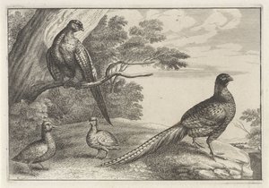 Quatre oiseaux - Anonymous