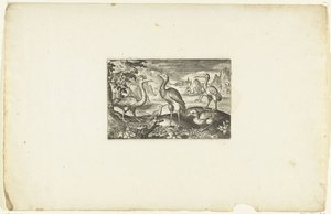 Cinq oiseaux - Anonymous