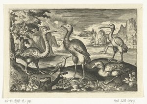Cinq oiseaux dont une spatule - Anonymous