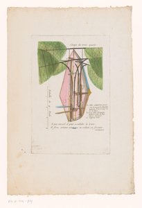 Machine volante de M. Blanchard (Coupe de trois quarts) - Anonymous