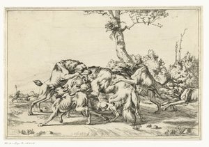 Loup attaqué par cinq chiens de chasse - Anonymous