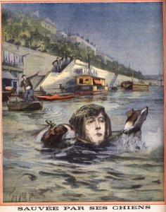 Une femme tombe dans la Seine et est sauvée par ses chiens à Paris. Gravure dans « Le petit parisien » du 14/08/1910. Collection privée.