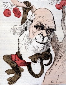Caricature de Charles Robert Darwin (1809 - 1882) dans "La Lune" - Anonymous Anonymous