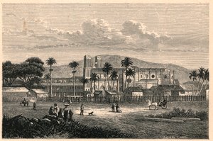 Vue extérieure de la cathédrale de Port of Spain à Trinidad. Gravure dans Les Missions Catholiques au XIXe siècle par Louis-Eugène Louvet. Collection privée. - Anonymous Anonymous