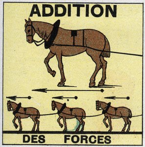 Forces: Addition des forces. Illustration anonyme de 1925. Collection privée - Anonymous Anonymous
