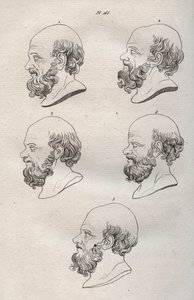 Physionomie - Plusieurs têtes du philosophe grec Socrate (gravure)