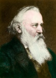 Portrait de Johannes Brahms (1833-1897), compositeur allemand (gravure du 19ème siècle, collection privée) - Anonymous Anonymous