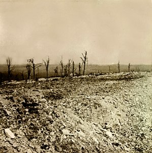 Plaque de verre stéréoscopique sur la Première Guerre mondiale - Anonymous Anonymous
