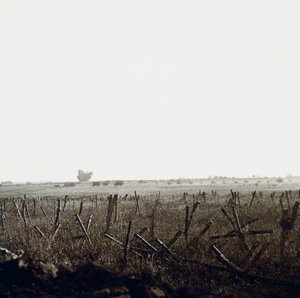 Plaque de verre stéréoscopique sur la Première Guerre mondiale - Anonymous Anonymous