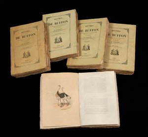 Les œuvres complètes de Buffon (1707-1788)