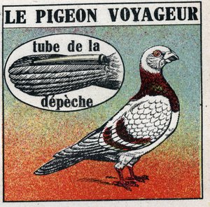 La Poste: le pigeon voyageur. Illustration anonyme de 1925. Collection privée. - Anonymous Anonymous