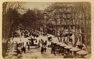 La ville de Marseille et ses environs vers 1885-1890 : La Promenade des Fleurs, Cours Saint-Louis - Anonymous Anonymous