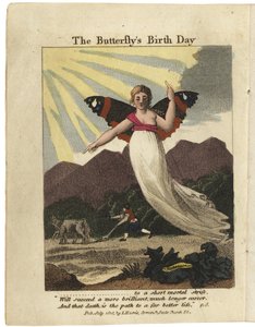 Page de titre de The Butterfly