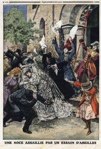 Un mariage attaqué par un essaim d