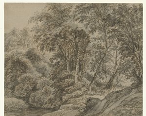 Paysage forestier près de Nimègue