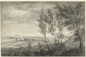 Vue des dunes sur Haarlem - Anthonie Waterloo