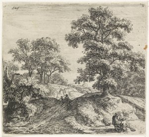 Grand chêne à côté d