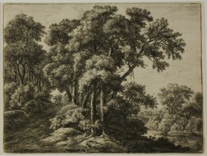 Le sentier boisé