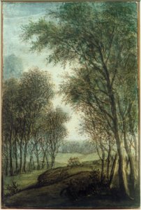 Lisière de forêt - Anthonie Waterloo