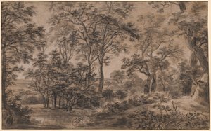 Paysage Boisé