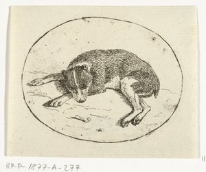 Chien couché - Anthonie van den Bos