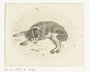 Chien couché