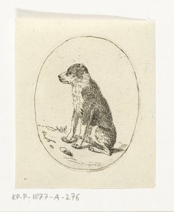 Chien assis - Anthonie van den Bos