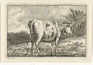 Vache debout dans une flaque Vaches (titre de la série) - Anthony Oberman