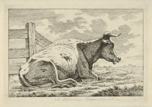 Vache couchée près d