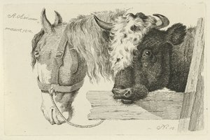 Tête de cheval et tête de taureau - Anthony Oberman