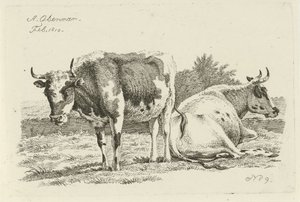 Vache debout et couchée - Anthony Oberman