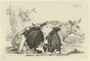 Deux vaches couchées devant un arbre - Anthony Oberman