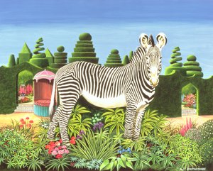 Zèbre dans un jardin, 1977