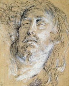 Tête du Christ mort - Anthony van Dyck