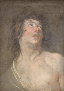 Étude de la tête d