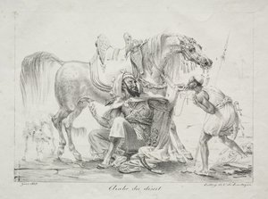 Arabe du désert - Antoine-Jean Gros