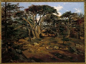 Les vieux cèdres sur le Mont Liban à Boumana - Antoine Alphonse Montfort