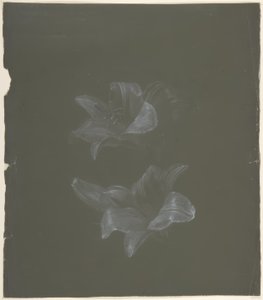 Motif floral - Antoine Berjon