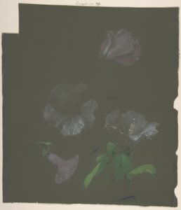 Motif Floral - Antoine Berjon